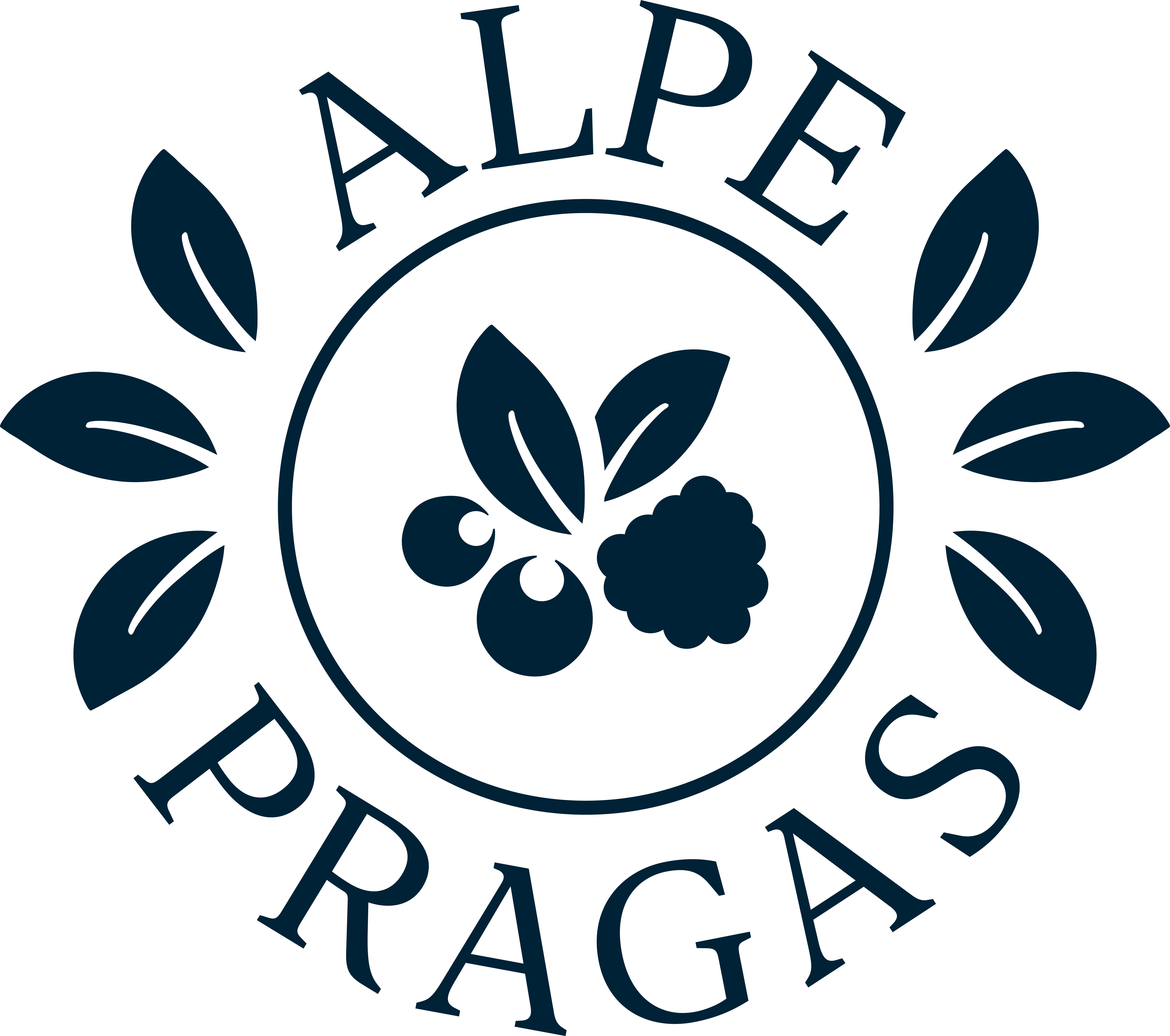 Alpe Pragas